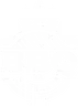 BBQ na Floresta